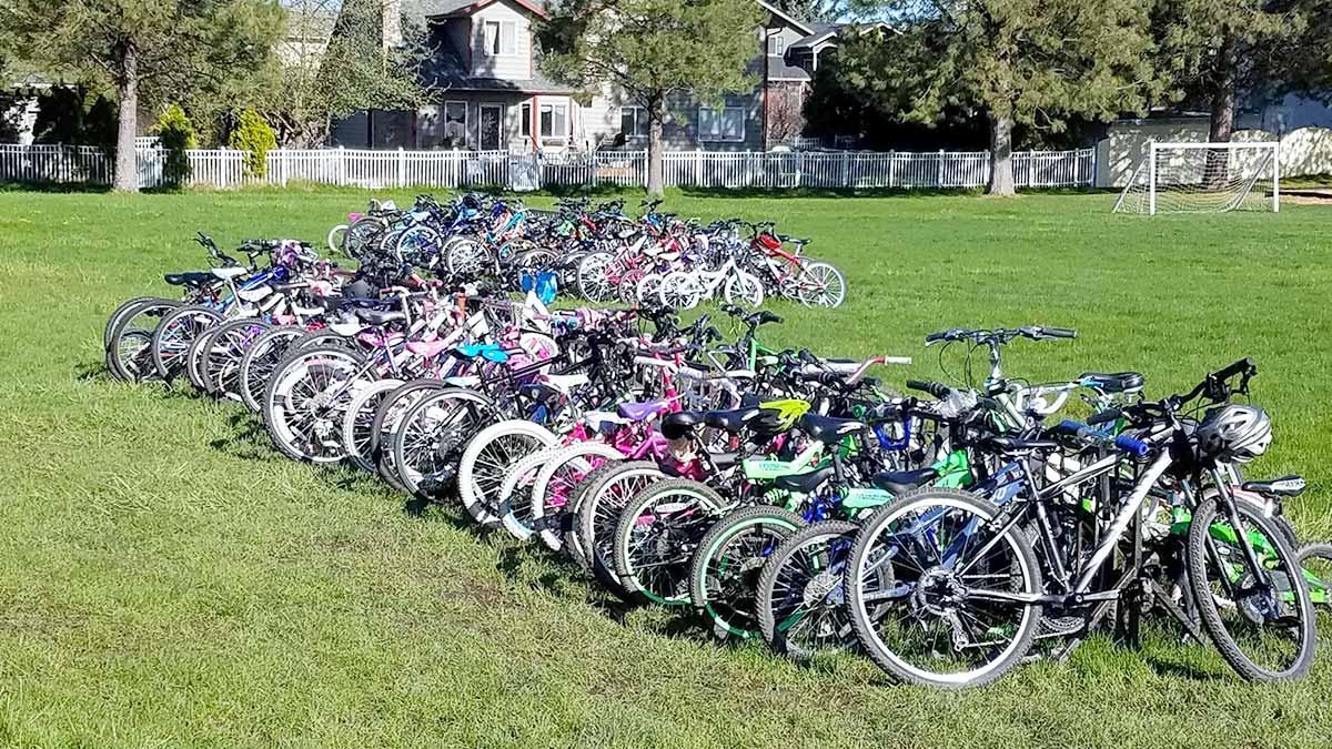 A large group of bikes in a park