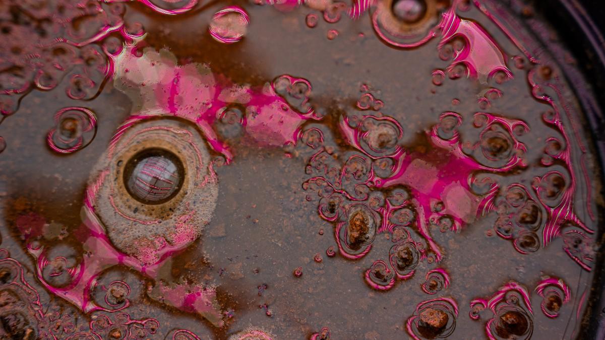 放大镜中粉红色细菌和污垢的特写
