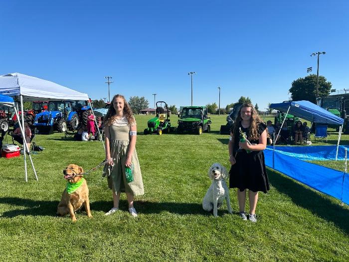 Dog show participants 